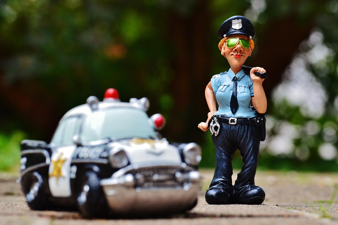 What Makes a Police K9 Expert Witness Essential in Modern Court Cases?